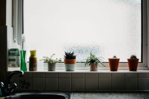 Tips for Growing Your Own Herb Garden Indoors Year-Round